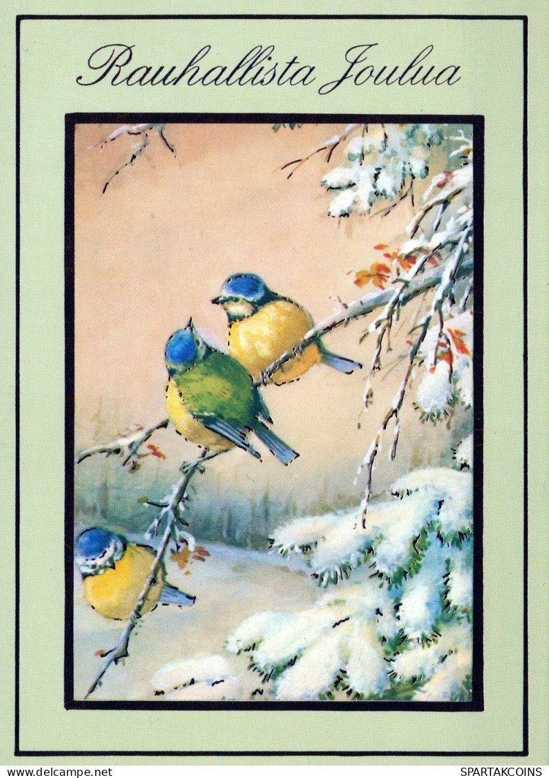 VOGEL Tier Vintage Ansichtskarte Postkarte CPSM #PAM854.DE - Vogels