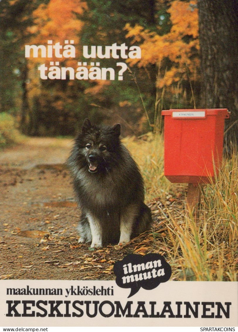 HUND Tier Vintage Ansichtskarte Postkarte CPSM #PAN606.DE - Dogs