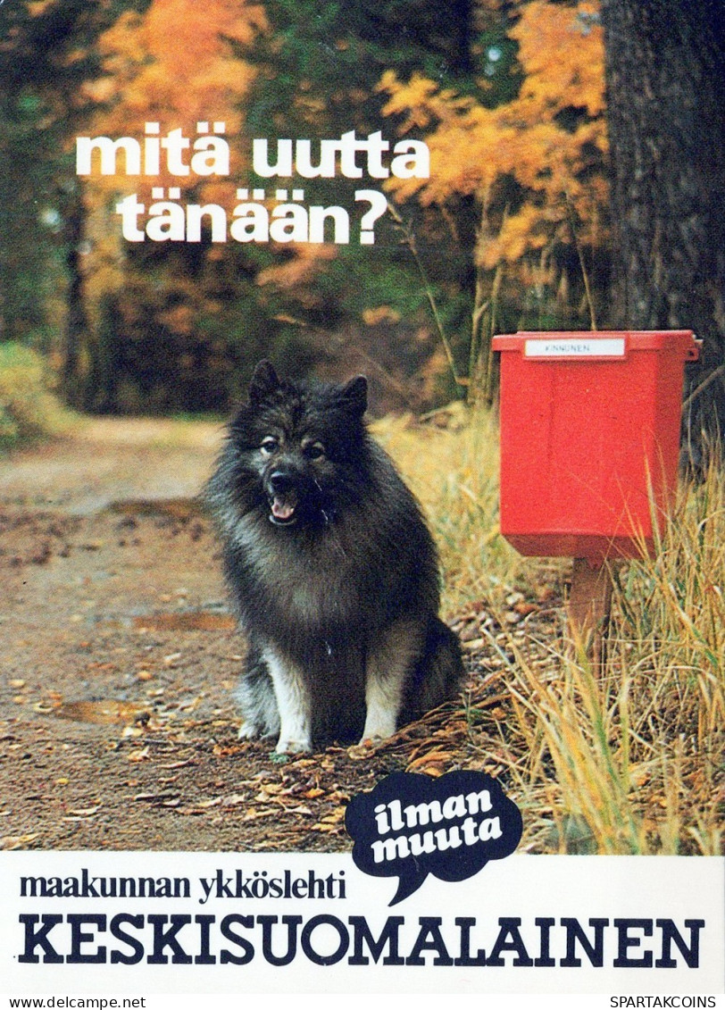 HUND Tier Vintage Ansichtskarte Postkarte CPSM #PAN606.DE - Honden
