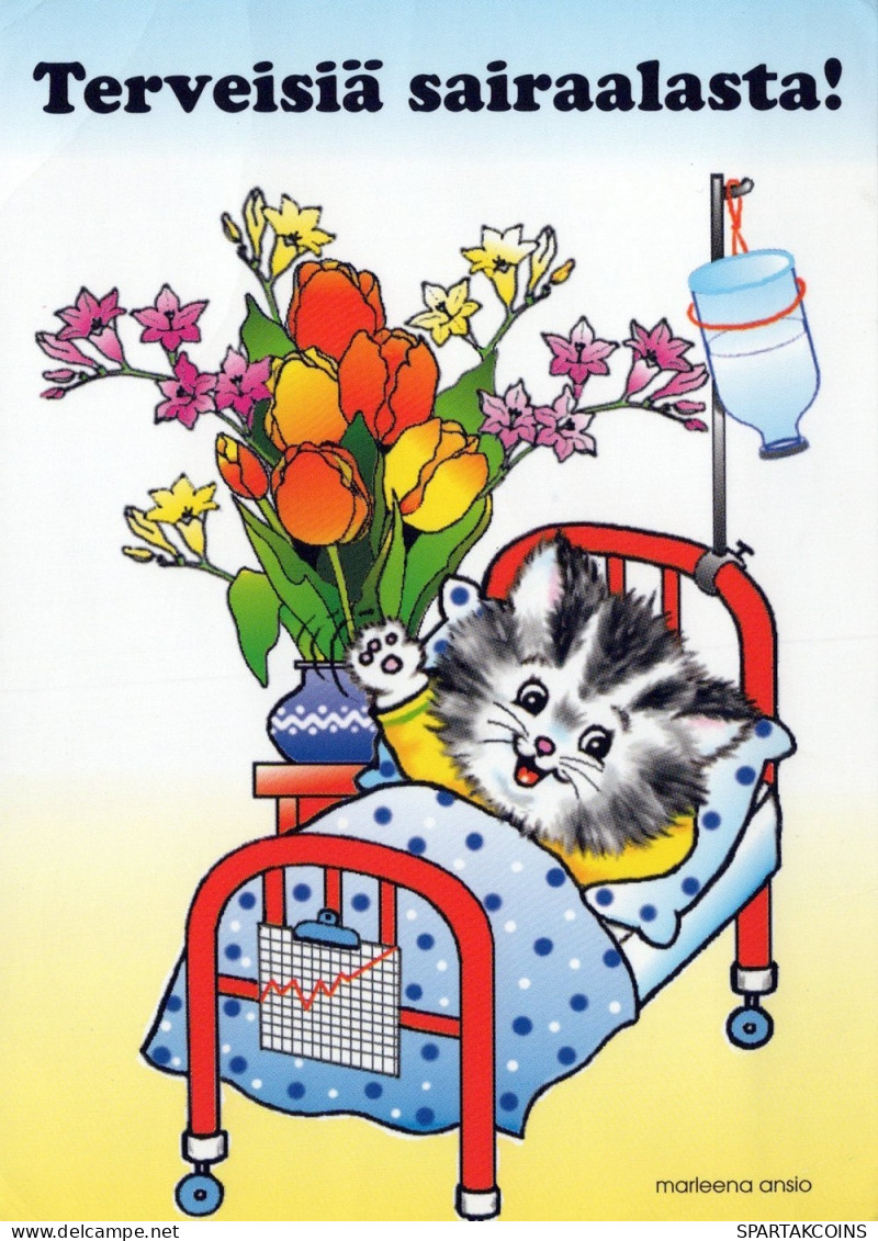 KATZE MIEZEKATZE Tier Vintage Ansichtskarte Postkarte CPSM #PAM603.DE - Katzen