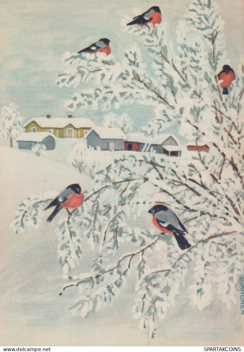 VOGEL Tier Vintage Ansichtskarte Postkarte CPSM #PAM793.DE - Vögel