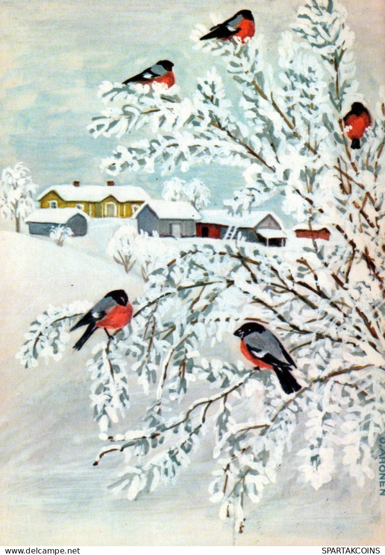 VOGEL Tier Vintage Ansichtskarte Postkarte CPSM #PAM793.DE - Birds