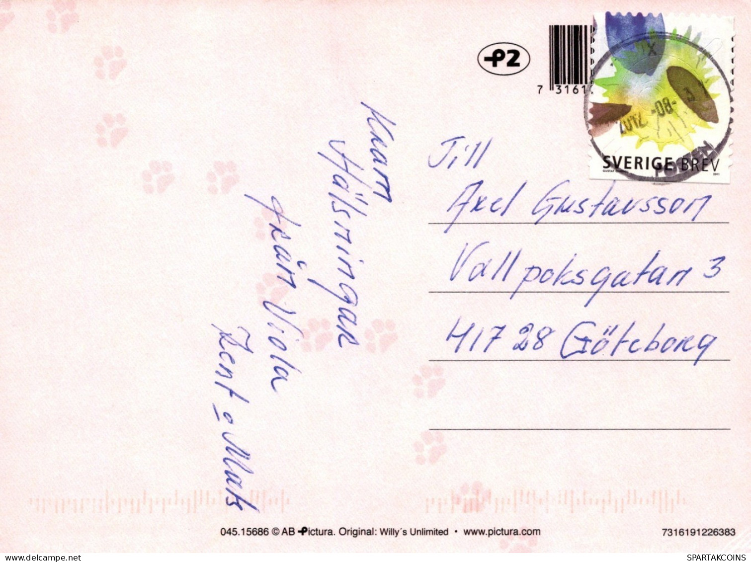 KATZE MIEZEKATZE Tier Vintage Ansichtskarte Postkarte CPSM #PAM478.DE - Cats