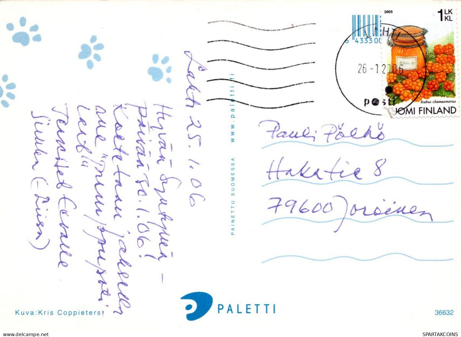 KATZE MIEZEKATZE Tier Vintage Ansichtskarte Postkarte CPSM #PAM539.DE - Cats