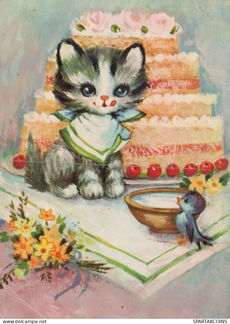 KATZE MIEZEKATZE Tier Vintage Ansichtskarte Postkarte CPSM #PAM226.DE - Cats