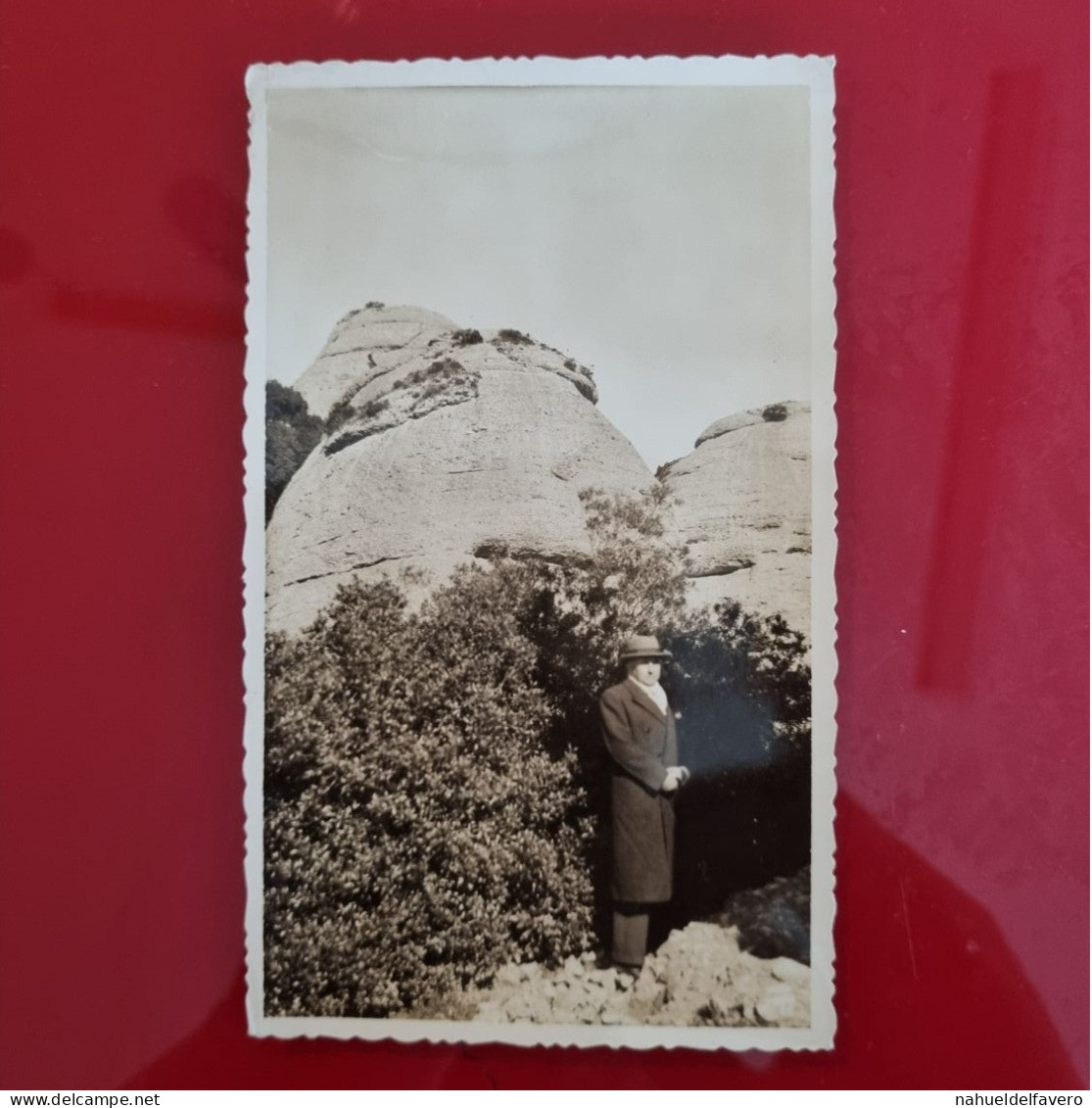 PH - Ph Original - Homme En Pardessus Posant à Côté De Plantes Au Milieu D'une Montagne Rocheuse - Anonyme Personen