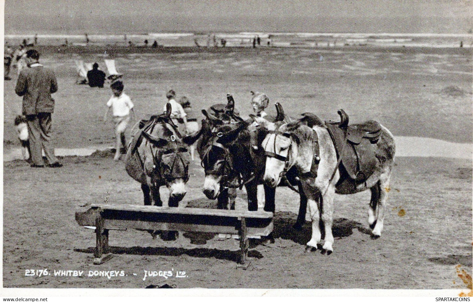 ÂNE Animaux Vintage Antique CPA Carte Postale #PAA227.FR - Ezels