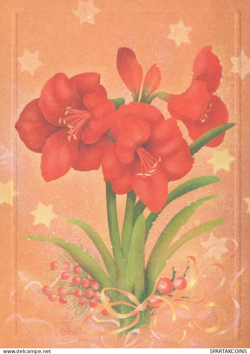 FLEURS Vintage Carte Postale CPSM #PBZ733.FR - Flowers