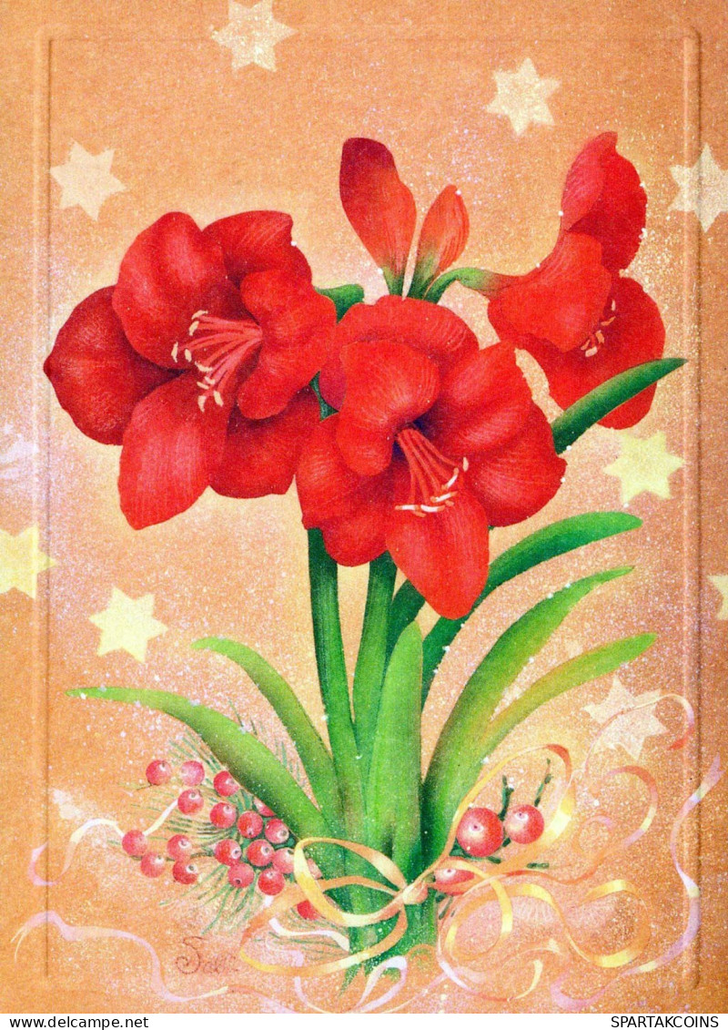 FLEURS Vintage Carte Postale CPSM #PBZ733.FR - Fleurs