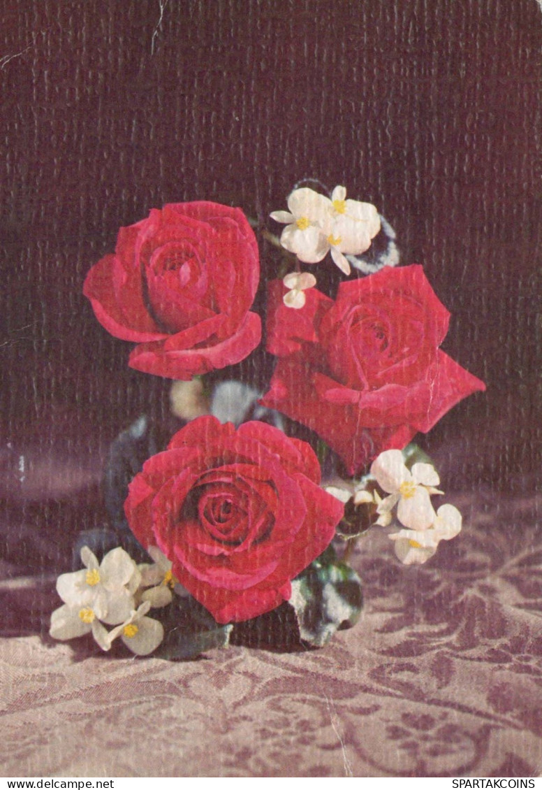 FLEURS Vintage Carte Postale CPSM #PBZ071.FR - Flowers