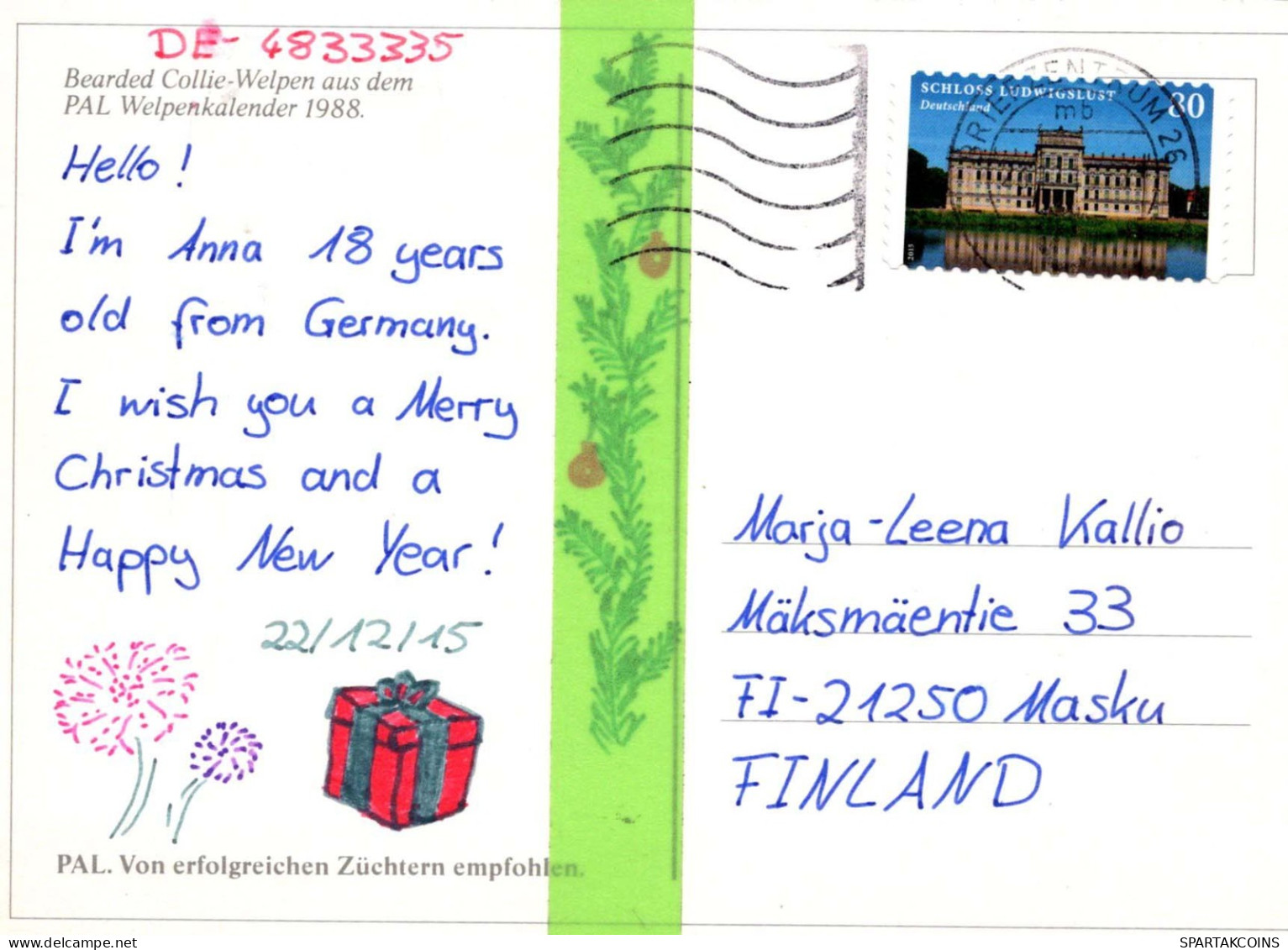 CHIEN Animaux Vintage Carte Postale CPSM #PBQ565.FR - Dogs