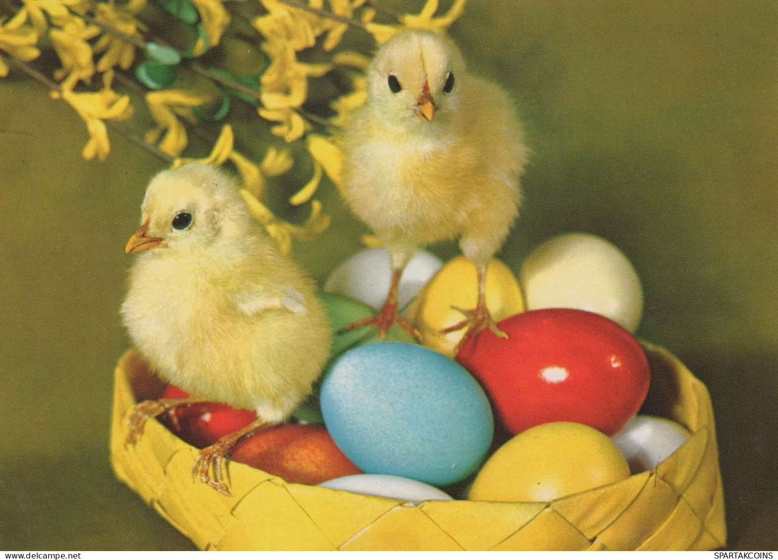 PÂQUES POULET ŒUF Vintage Carte Postale CPSM #PBO907.FR - Ostern