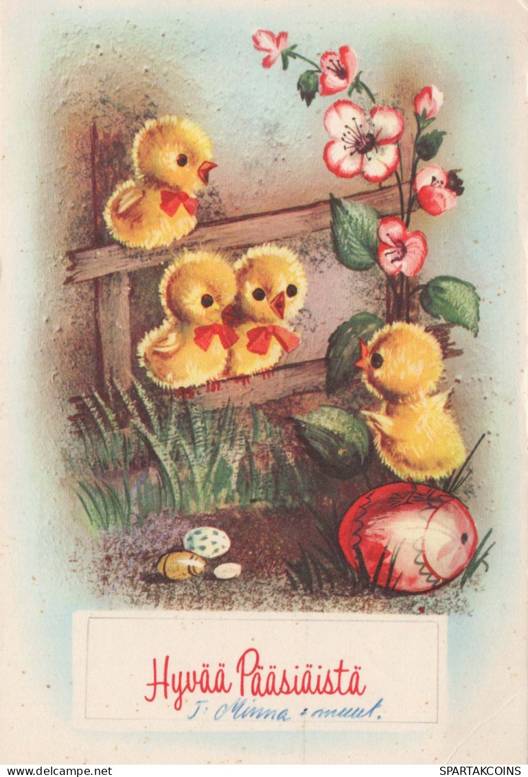 PÂQUES POULET ŒUF Vintage Carte Postale CPSM #PBO845.FR - Ostern