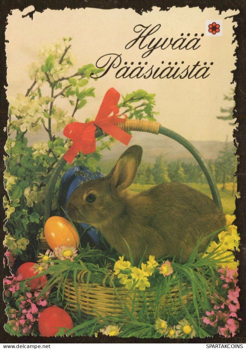 PÂQUES LAPIN Vintage Carte Postale CPSM #PBO405.FR - Easter