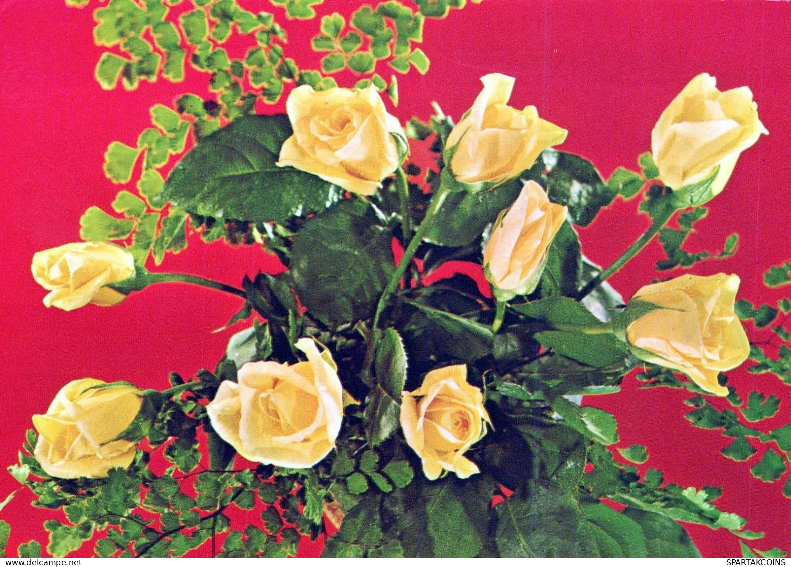 FIORI Vintage Cartolina CPSM #PAS629.IT - Blumen
