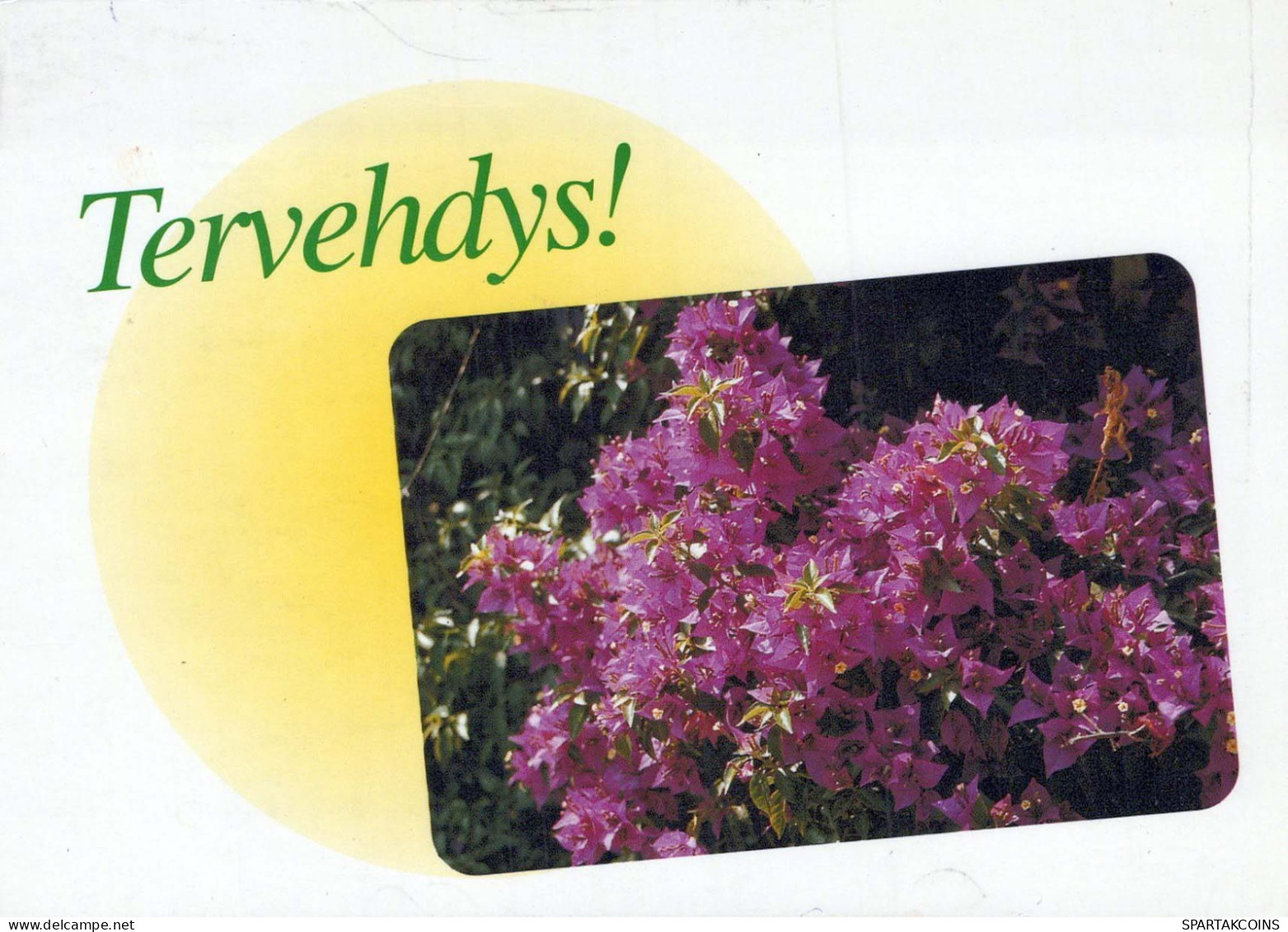 FIORI Vintage Cartolina CPSM #PAR665.IT - Flowers