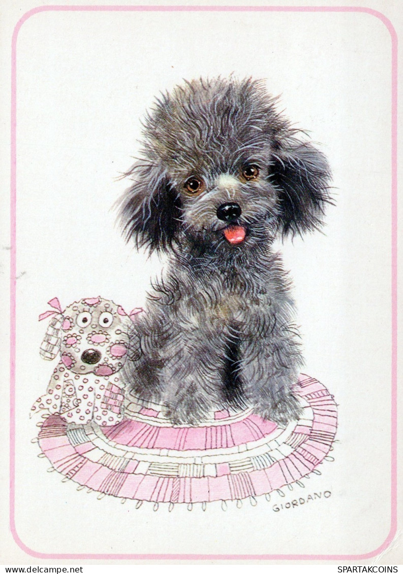 CANE Animale Vintage Cartolina CPSM #PAN607.IT - Chiens