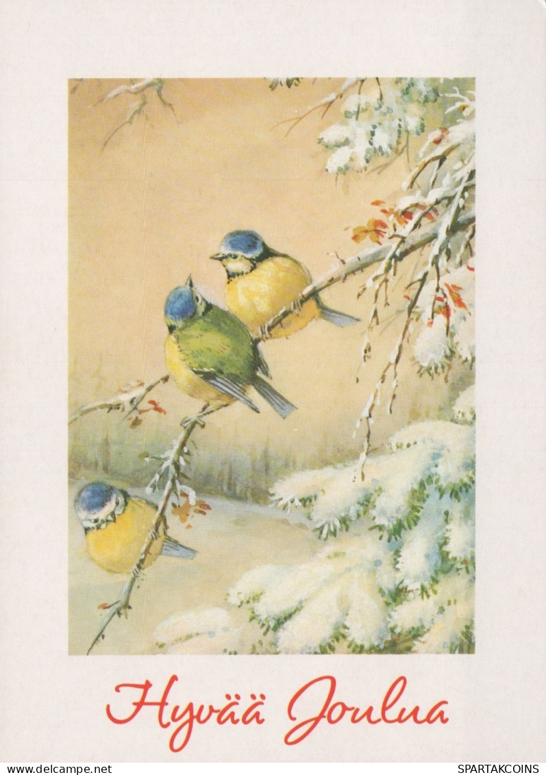 UCCELLO Animale Vintage Cartolina CPSM #PAM856.IT - Vogels