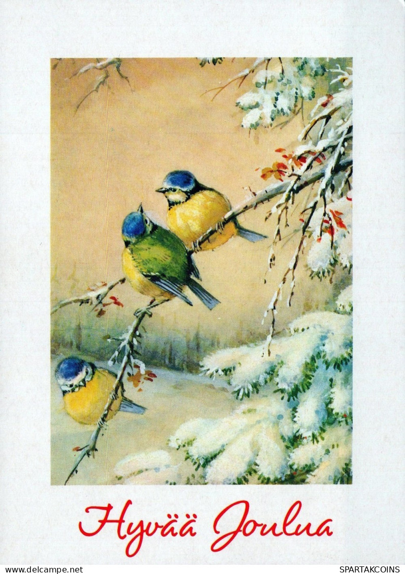 UCCELLO Animale Vintage Cartolina CPSM #PAM856.IT - Birds