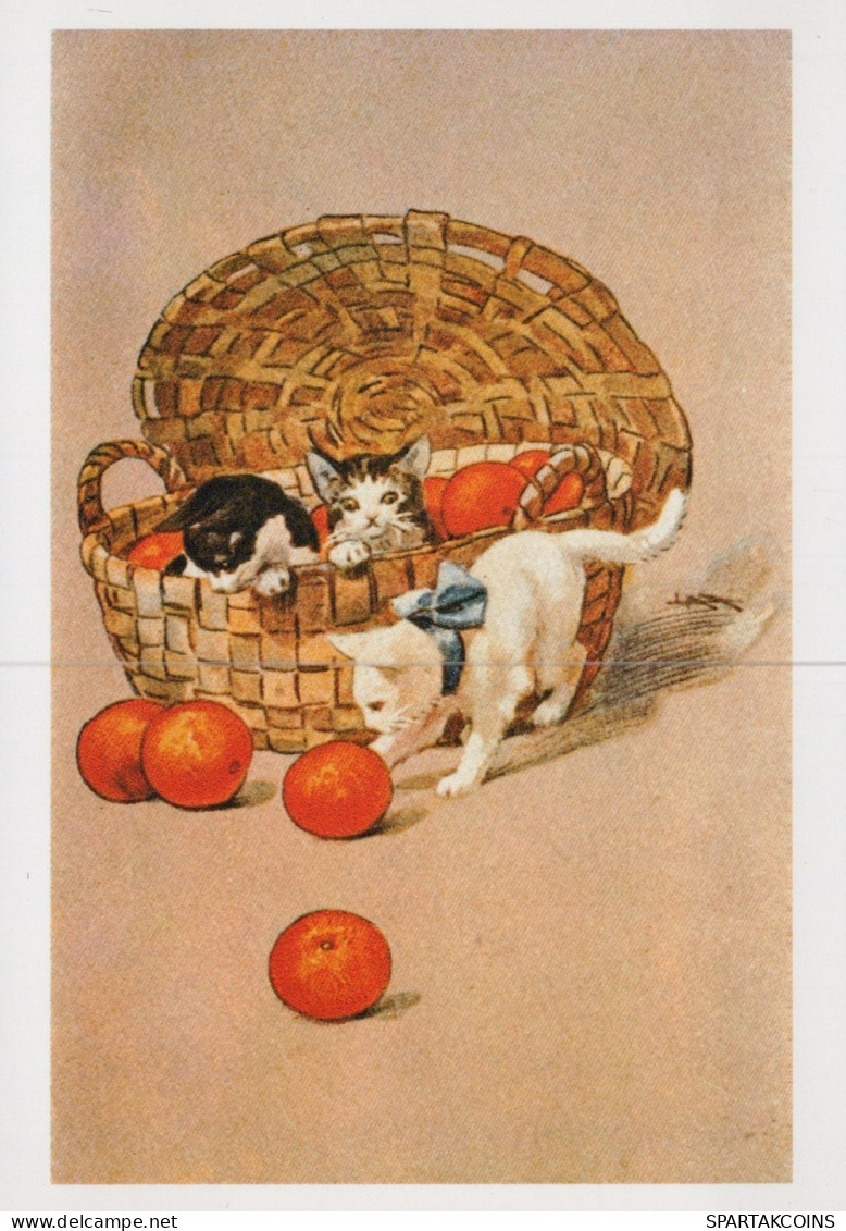 GATTO KITTY Animale Vintage Cartolina CPSM Unposted #PAM288.IT - Cats