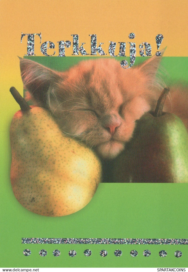 GATTO KITTY Animale Vintage Cartolina CPSM #PAM540.IT - Katten