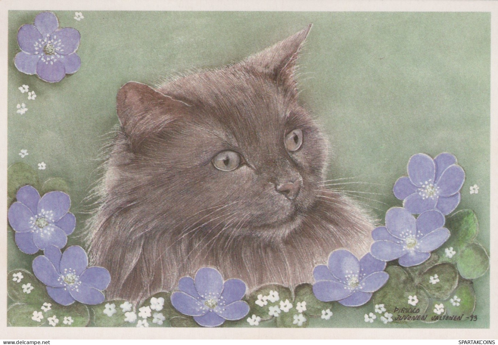 GATTO KITTY Animale Vintage Cartolina CPSM #PAM479.IT - Katten