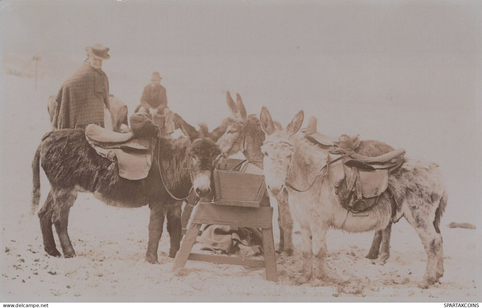 ESEL Tiere Vintage Antik Alt CPA Ansichtskarte Postkarte #PAA228.DE - Donkeys