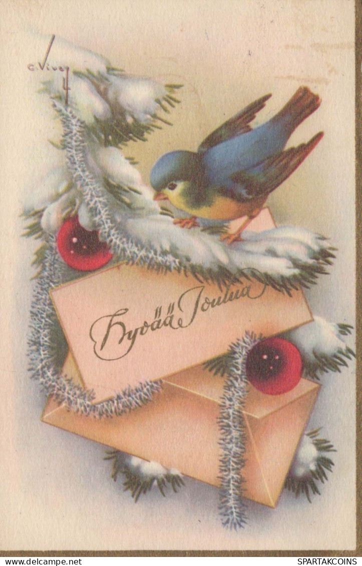 VOGEL Vintage Ansichtskarte Postkarte CPSMPF #PKG967.DE - Vogels