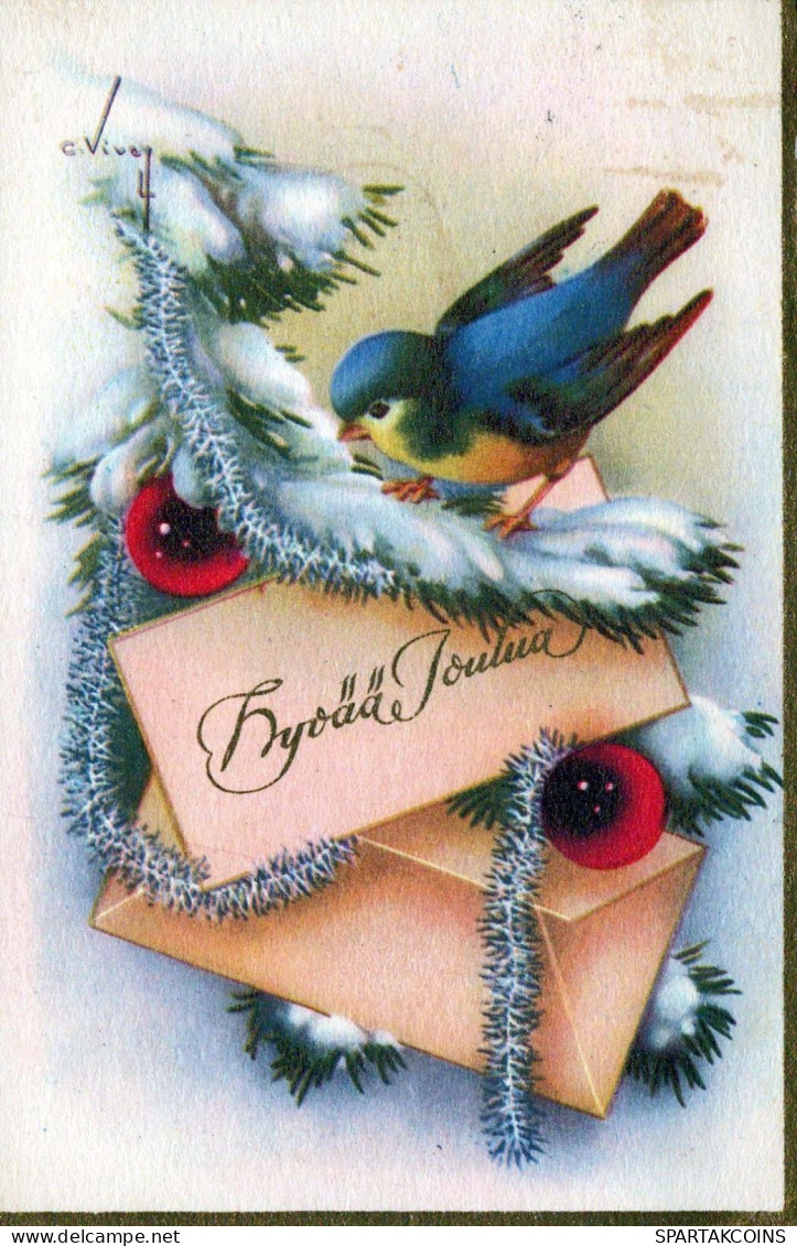 VOGEL Vintage Ansichtskarte Postkarte CPSMPF #PKG967.DE - Birds