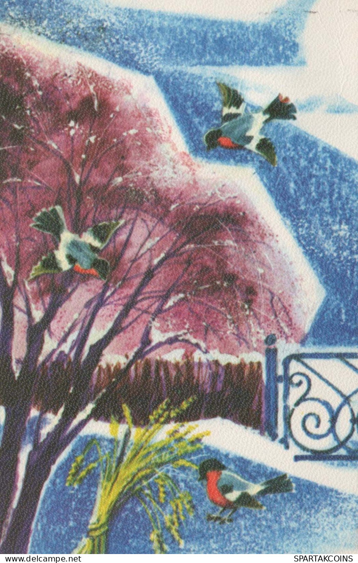 Neujahr Weihnachten VOGEL Vintage Ansichtskarte Postkarte CPA #PKE855.DE - Nouvel An