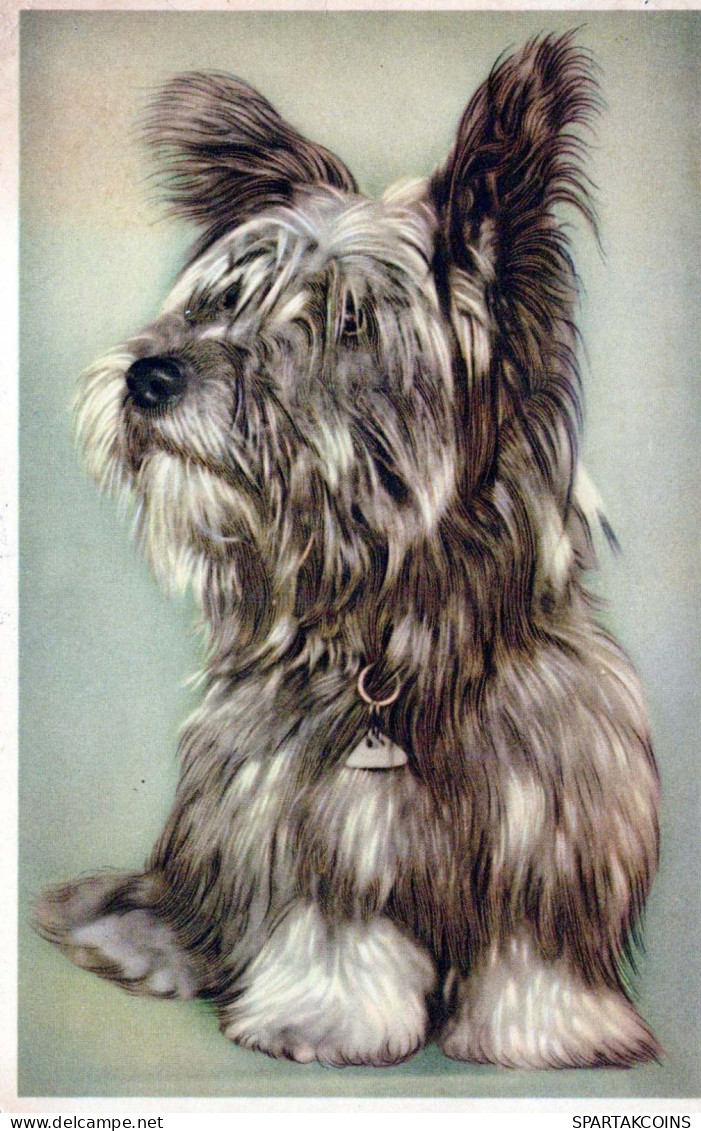 HUND Tier Vintage Ansichtskarte Postkarte CPA #PKE793.DE - Chiens