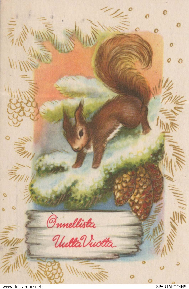 Neujahr Weihnachten EICHHÖRNCHEN Vintage Ansichtskarte Postkarte CPSMPF #PKD715.DE - Nouvel An