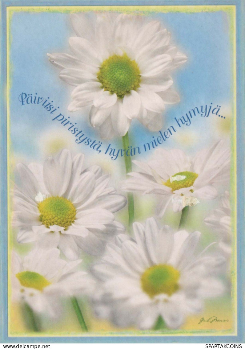 FLOWERS Vintage Ansichtskarte Postkarte CPSM #PBZ011.DE - Blumen