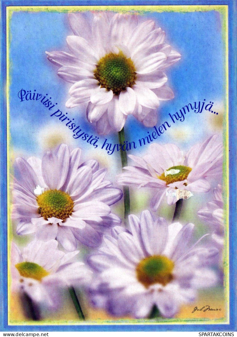 FLOWERS Vintage Ansichtskarte Postkarte CPSM #PBZ011.DE - Blumen