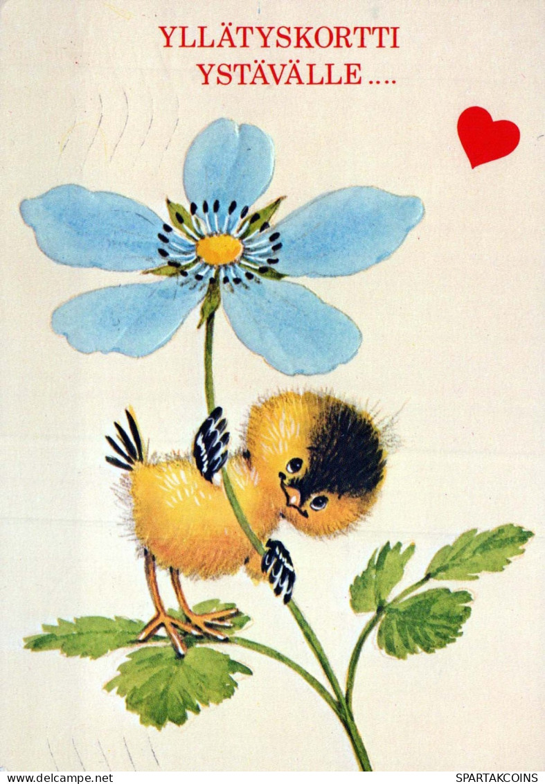 VOGEL Tier Vintage Ansichtskarte Postkarte CPSM #PBR735.DE - Birds