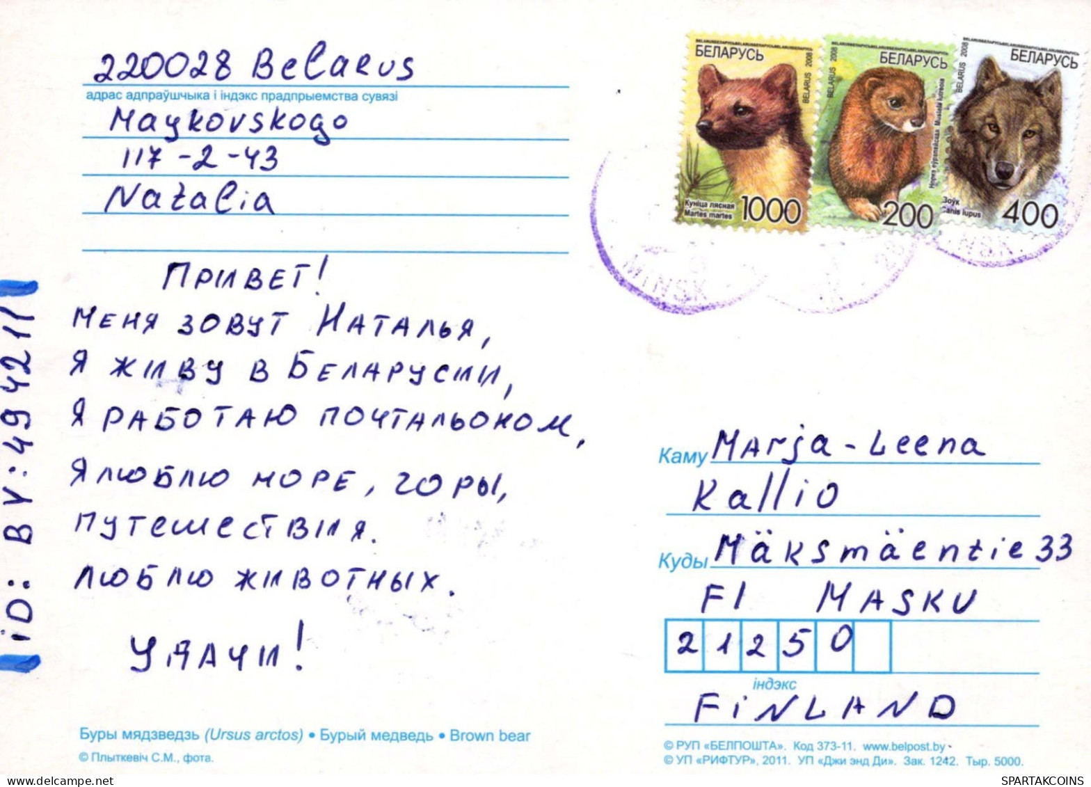 GEBÄREN Tier Vintage Ansichtskarte Postkarte CPSM #PBS273.DE - Bears