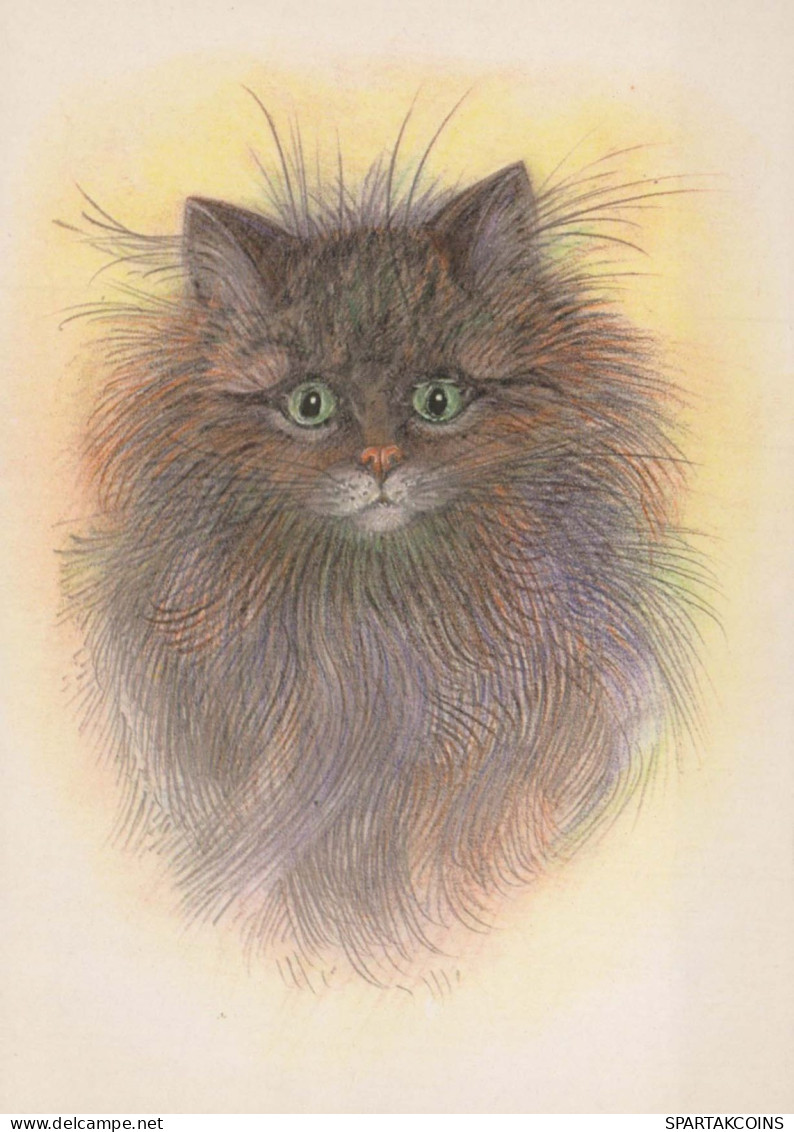 KATZE MIEZEKATZE Tier Vintage Ansichtskarte Postkarte CPSM #PBQ951.DE - Katten