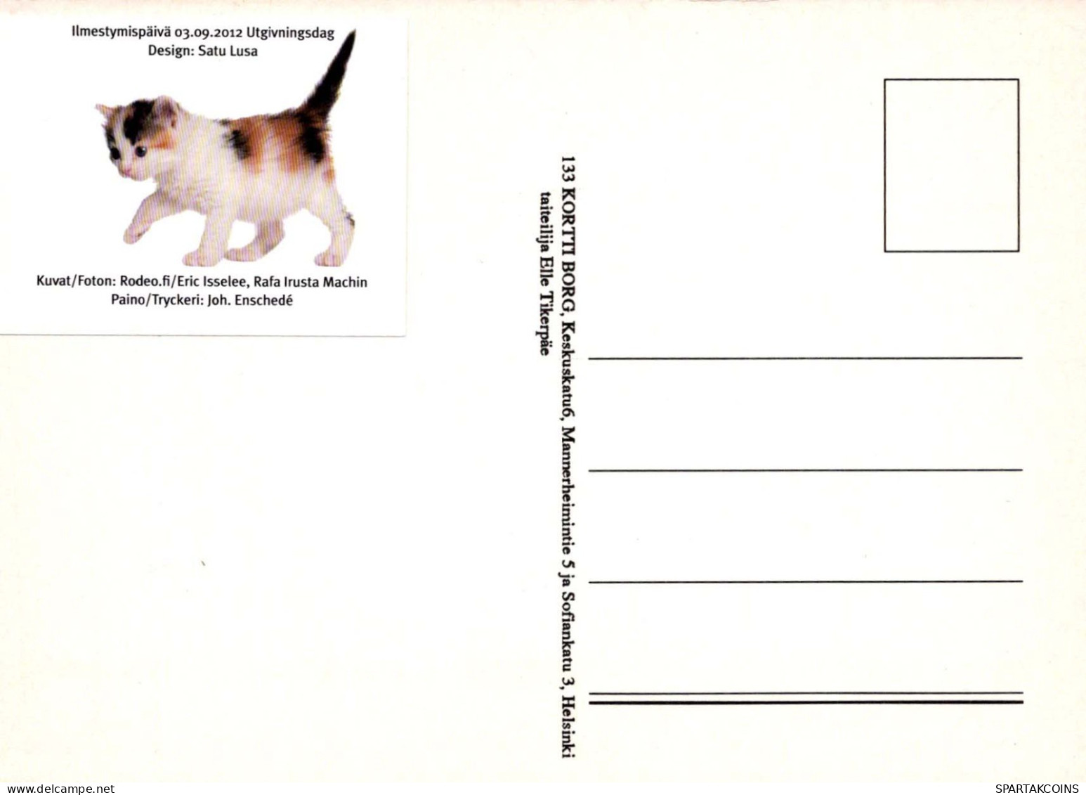 KATZE MIEZEKATZE Tier Vintage Ansichtskarte Postkarte CPSM #PBQ951.DE - Cats