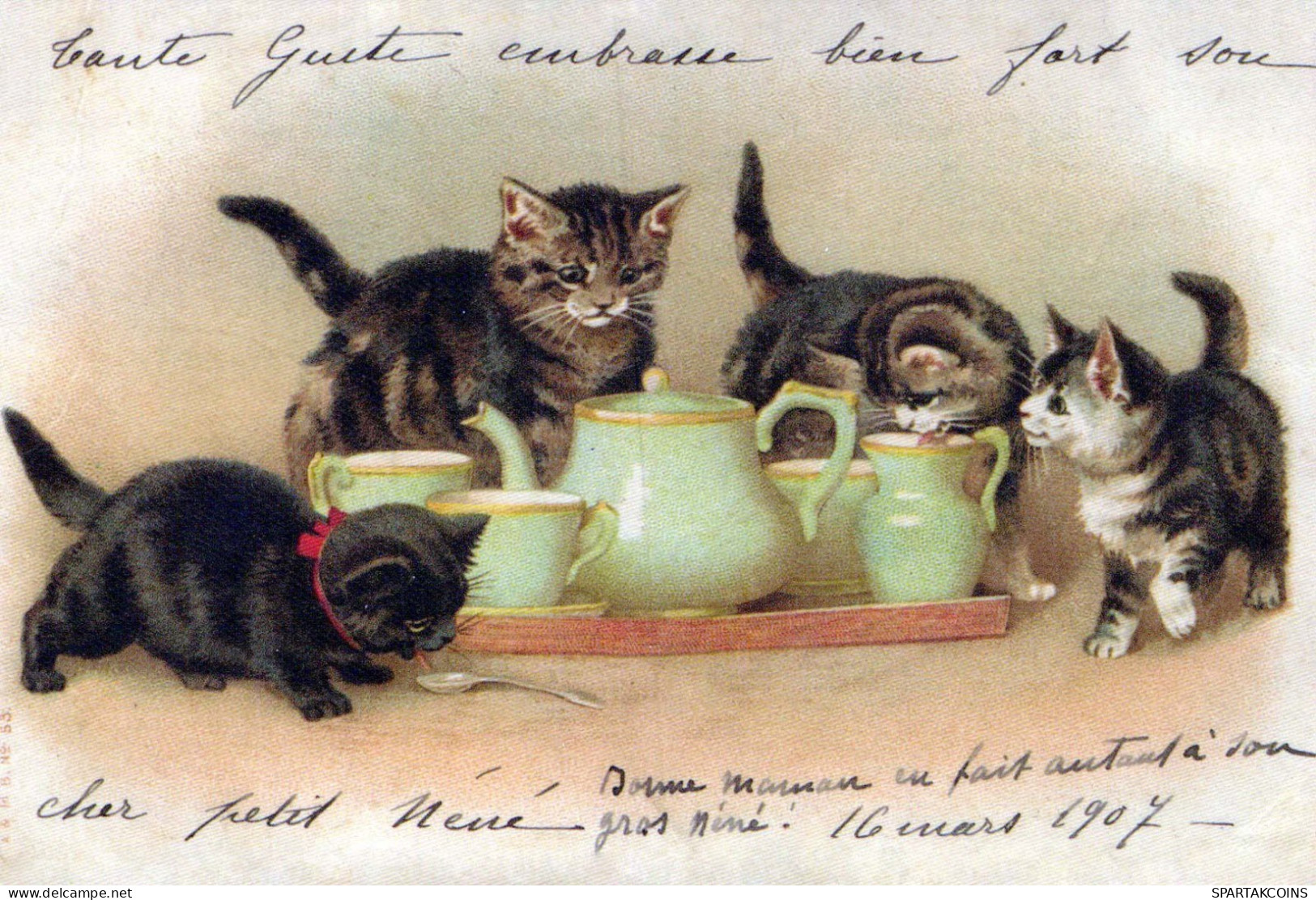 KATZE MIEZEKATZE Tier Vintage Ansichtskarte Postkarte CPSM #PBR019.DE - Chats