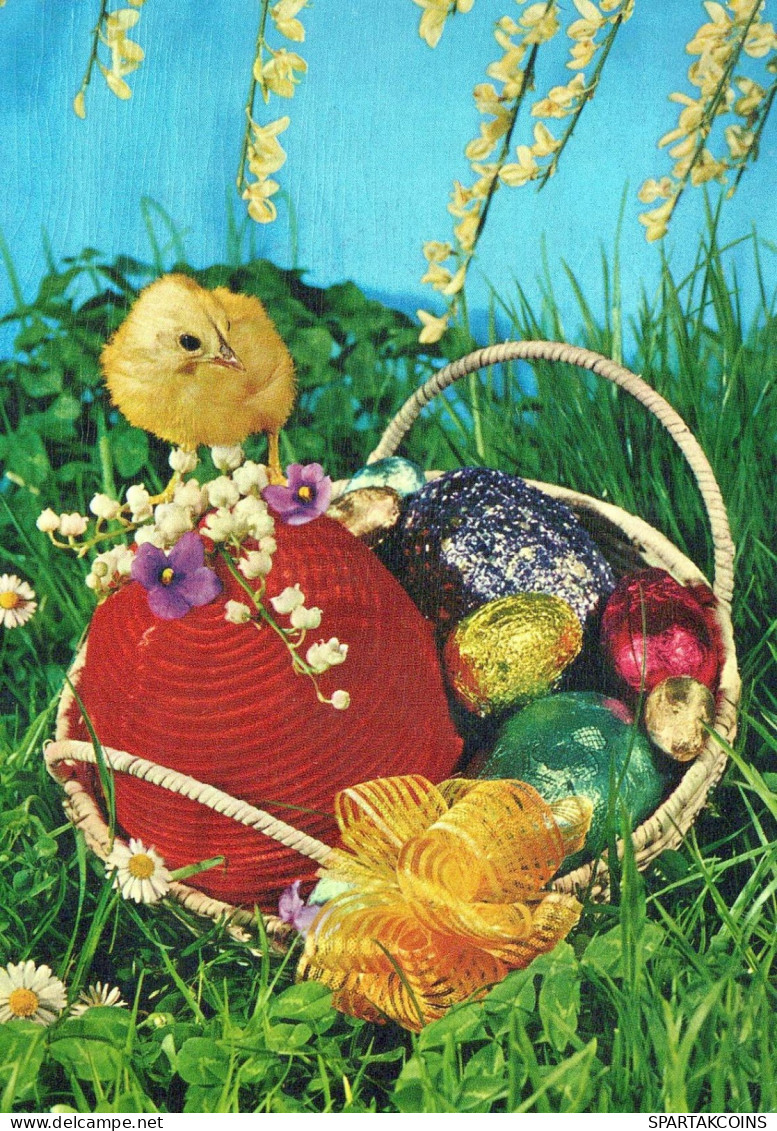 OSTERN HUHN EI Vintage Ansichtskarte Postkarte CPSM #PBP037.DE - Ostern