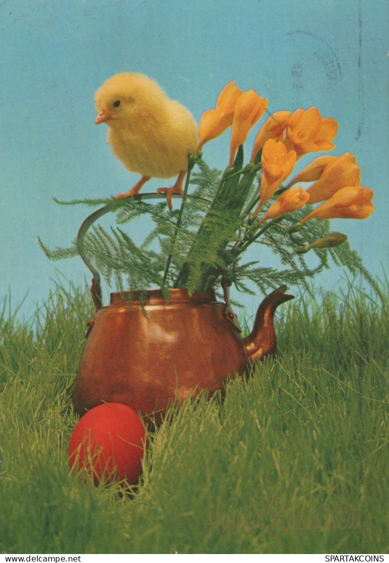 OSTERN HUHN EI Vintage Ansichtskarte Postkarte CPSM #PBP099.DE - Pâques