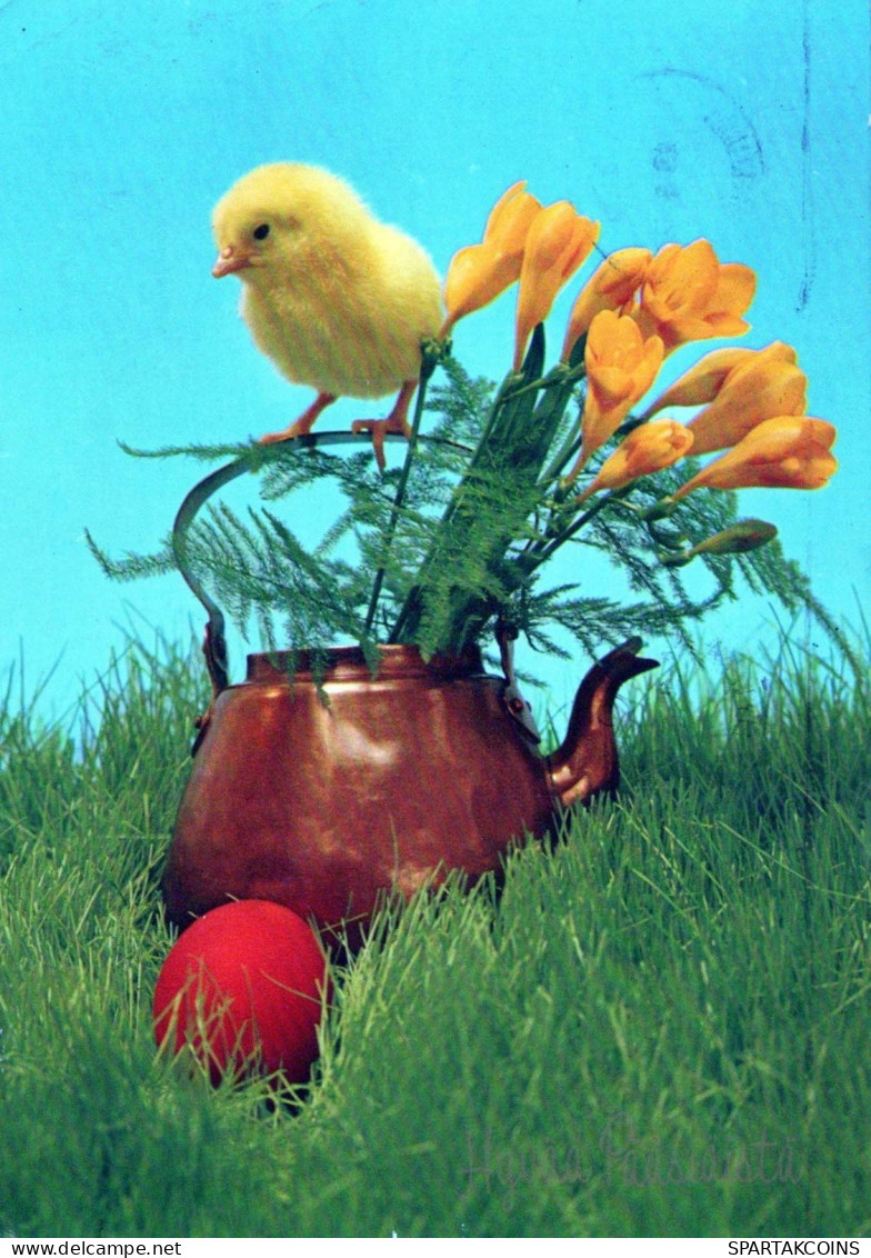 OSTERN HUHN EI Vintage Ansichtskarte Postkarte CPSM #PBP099.DE - Pâques