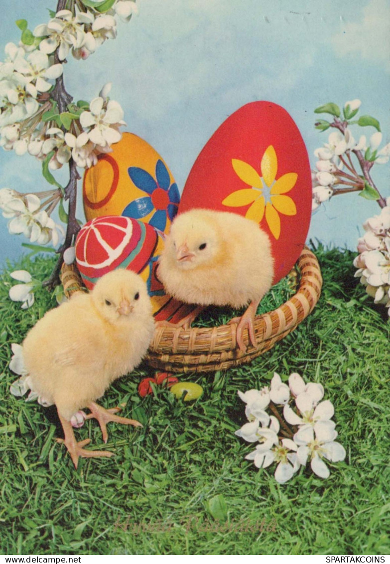 OSTERN HUHN EI Vintage Ansichtskarte Postkarte CPSM #PBO659.DE - Easter