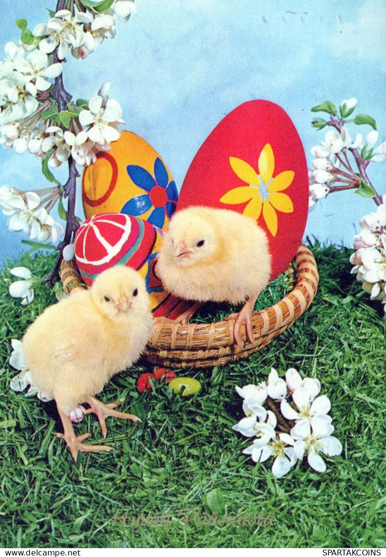 OSTERN HUHN EI Vintage Ansichtskarte Postkarte CPSM #PBO659.DE - Easter