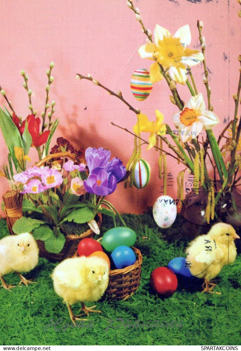 OSTERN HUHN EI Vintage Ansichtskarte Postkarte CPSM #PBO596.DE - Pâques