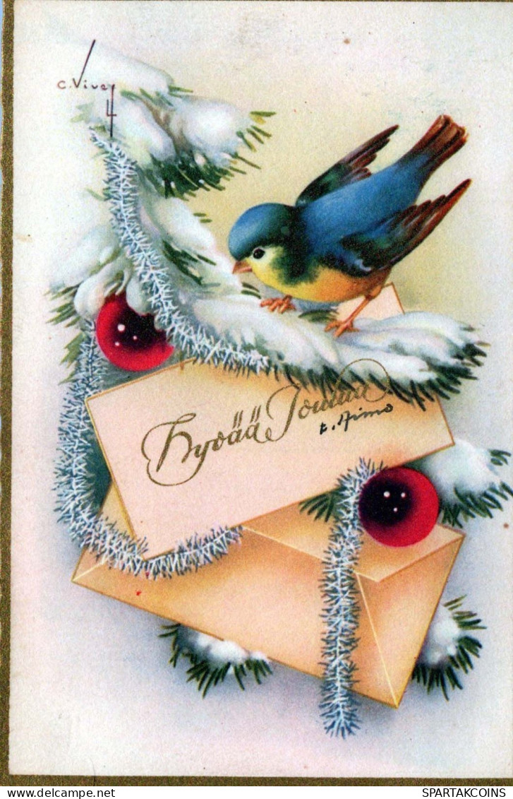 UCCELLO Vintage Cartolina CPSMPF #PKG968.IT - Birds