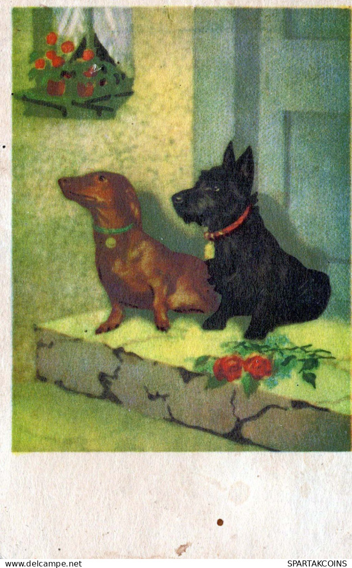 CANE Animale Vintage Cartolina CPA #PKE794.IT - Cani