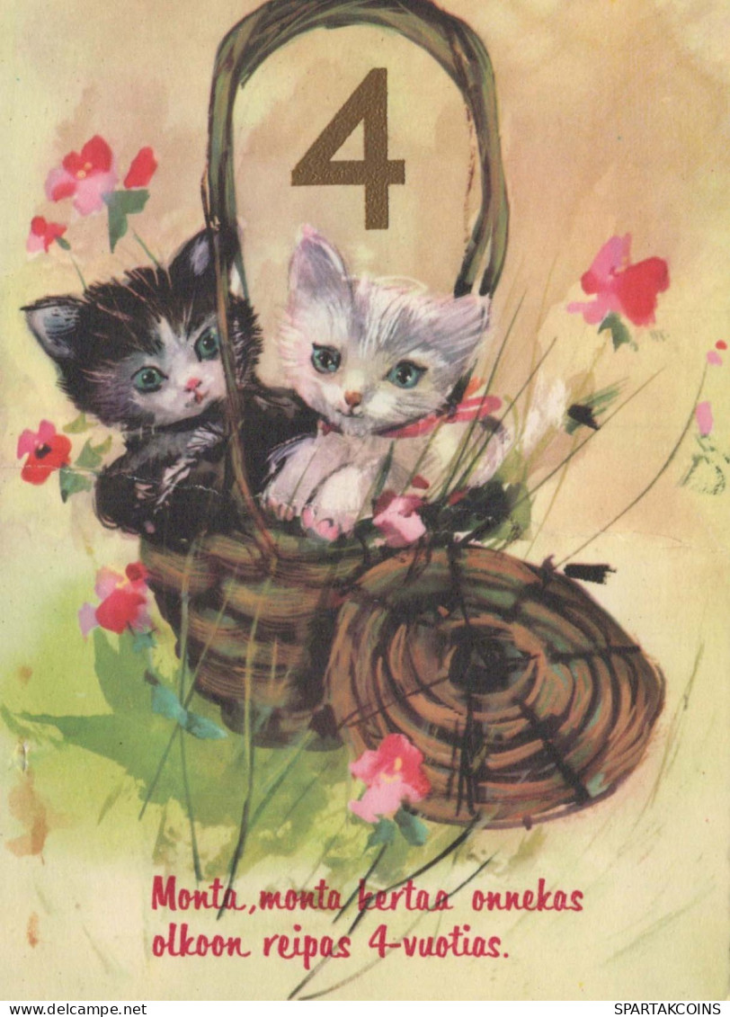 GATTO KITTY Animale Vintage Cartolina CPSM #PBQ890.IT - Cats