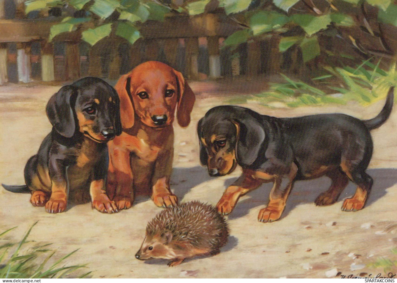 CANE Animale Vintage Cartolina CPSM #PBQ365.IT - Chiens