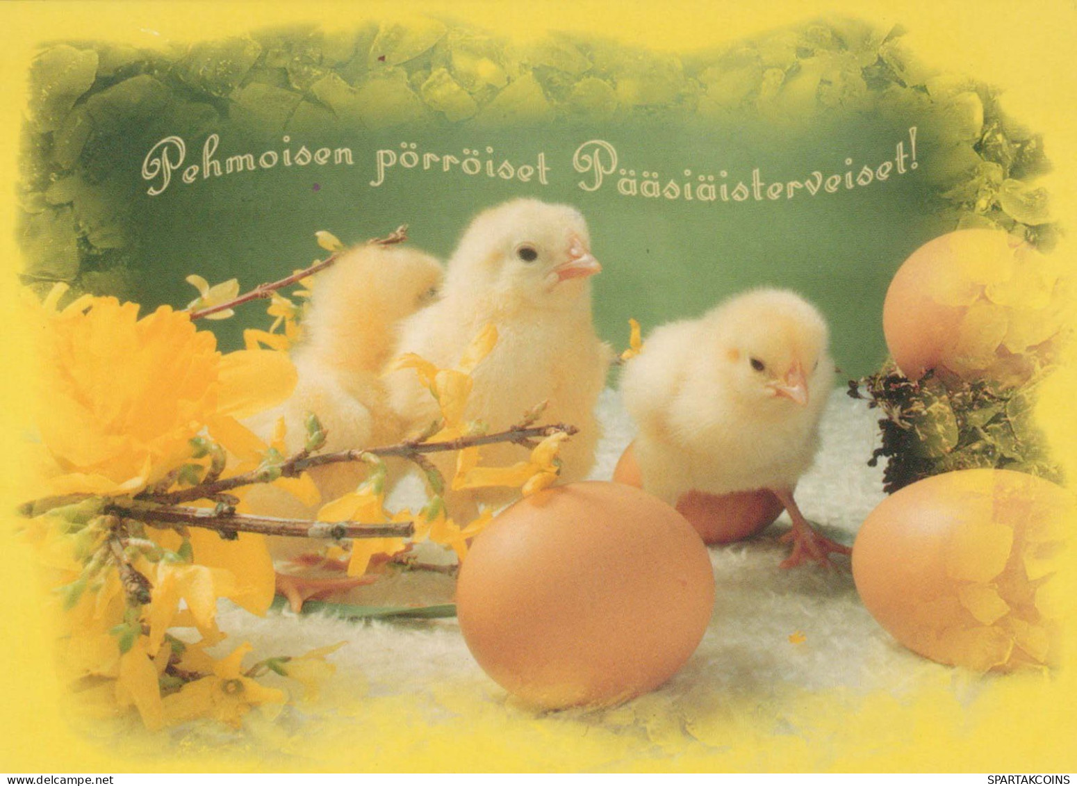 PASQUA POLLO UOVO Vintage Cartolina CPSM #PBP222.IT - Pâques